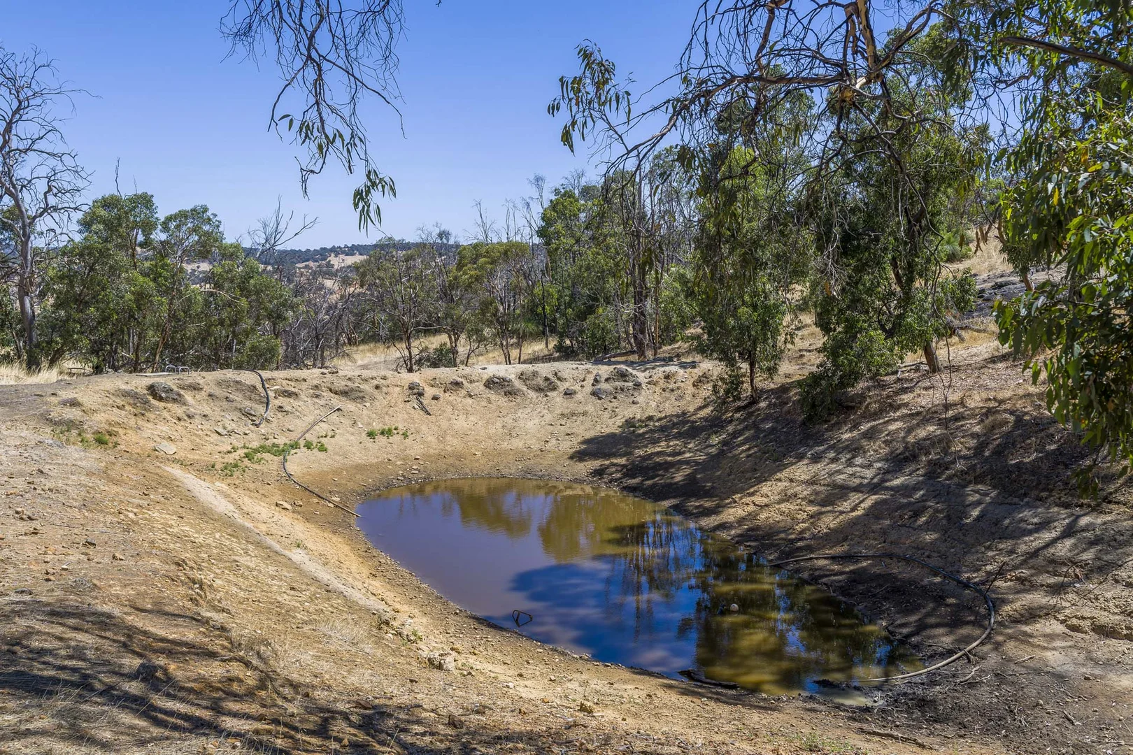 Additional image 30 of 167 Davis Road, Lower Chittering WA 6084