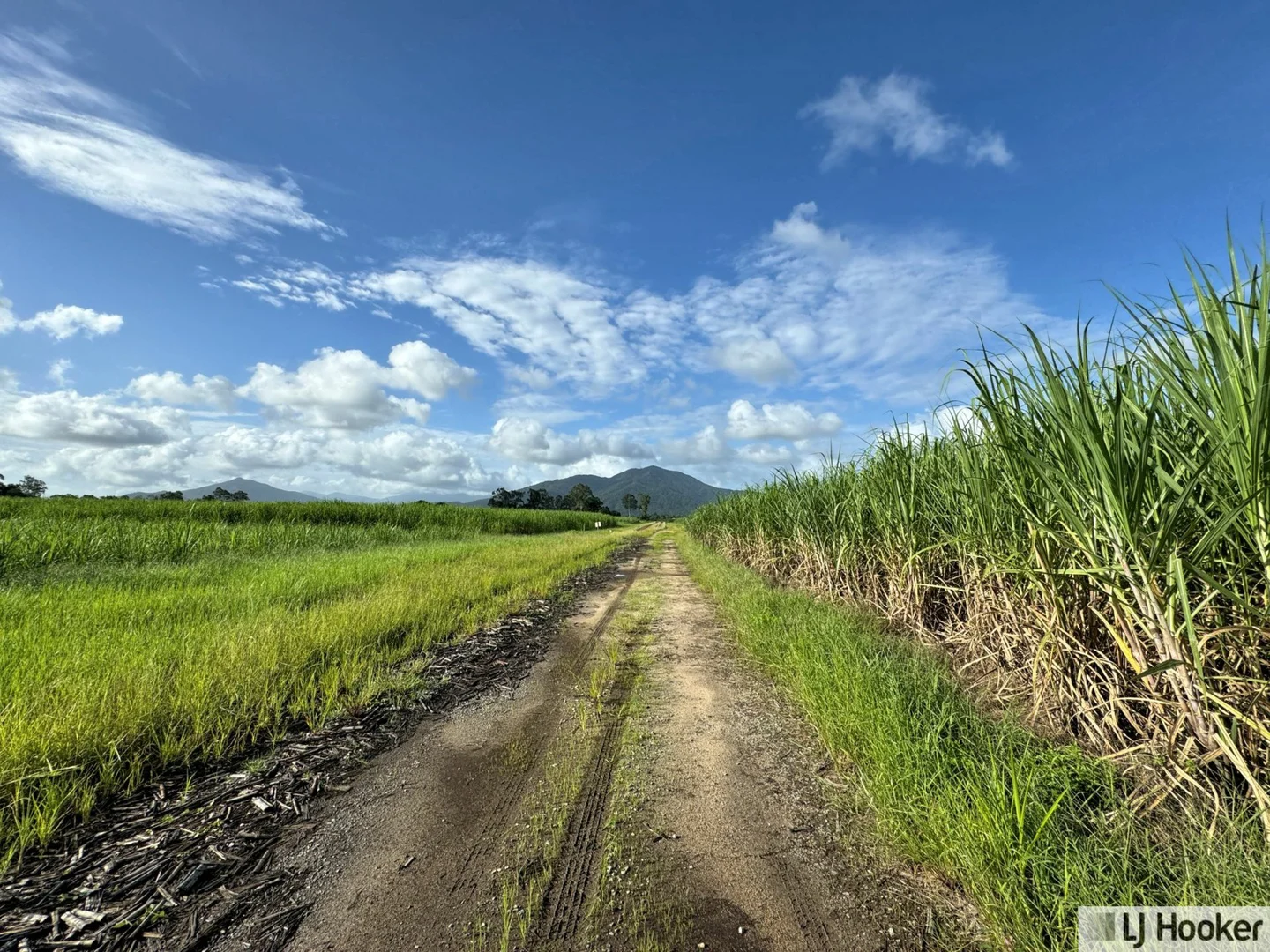 Additional image 5 of 328 Rockingham Road, Rockingham QLD 4854