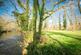 Additional image 21 of 'Four-acre riverside smallholding with private fishing rights and income potential'