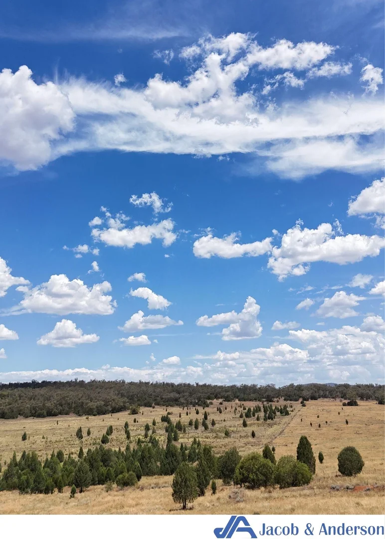 Additional image 20 of 169 Doubleday Road, Gunnedah NSW 2380