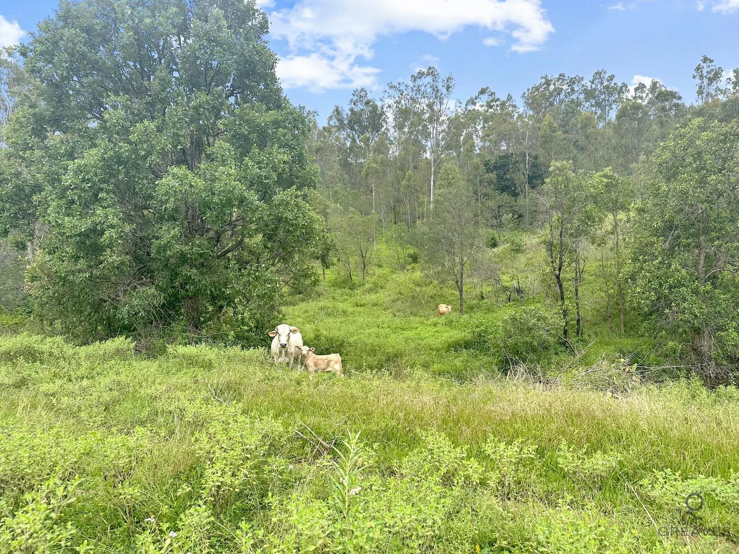 Additional image 8 of Walters Road, New Moonta QLD 4671