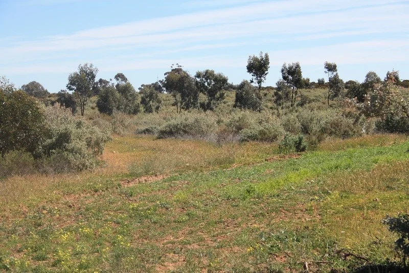 Additional image 5 of Lot 1, 905 Ngallo Road, Carina VIC 3512