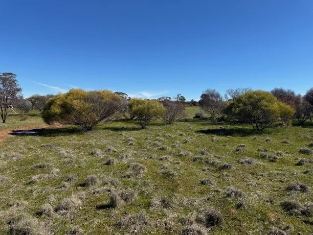 Additional image 17 of 4CA Calder Highway, Wedderburn VIC 3518