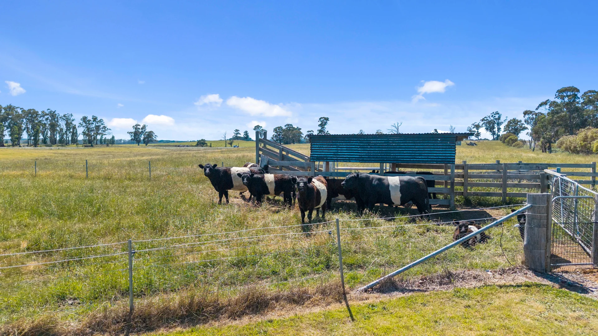 Additional image 6 of 32 Humphries drive, Oberon NSW 2787