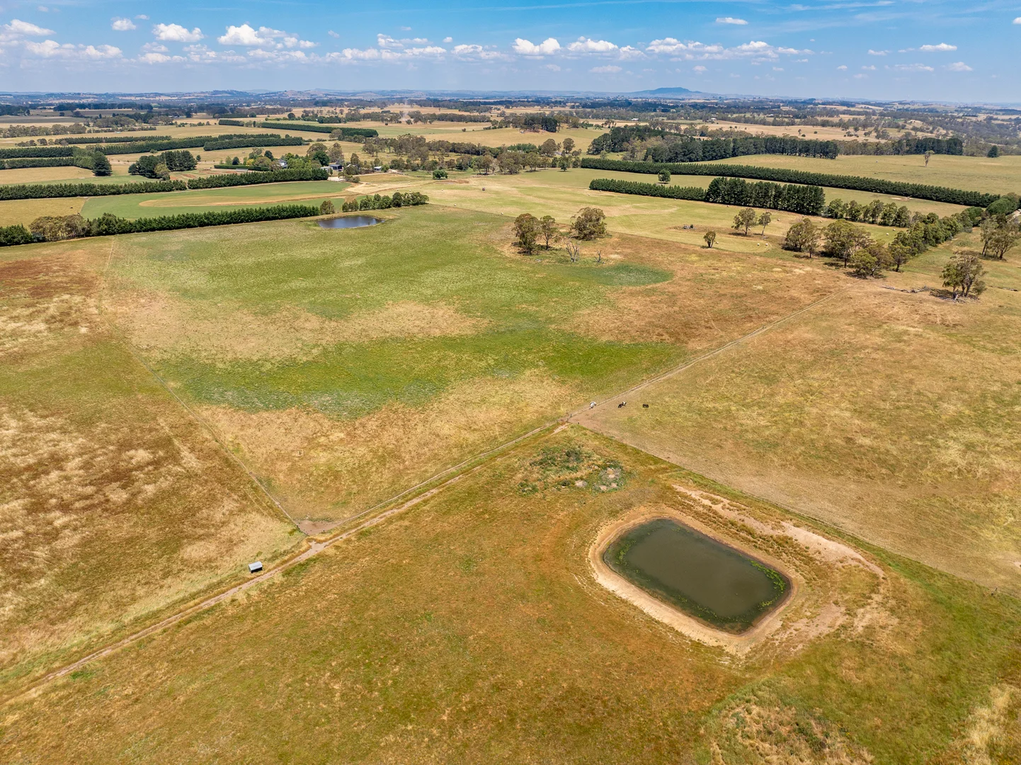 Additional image 30 of 56 Orchard Road, Springside NSW 2800