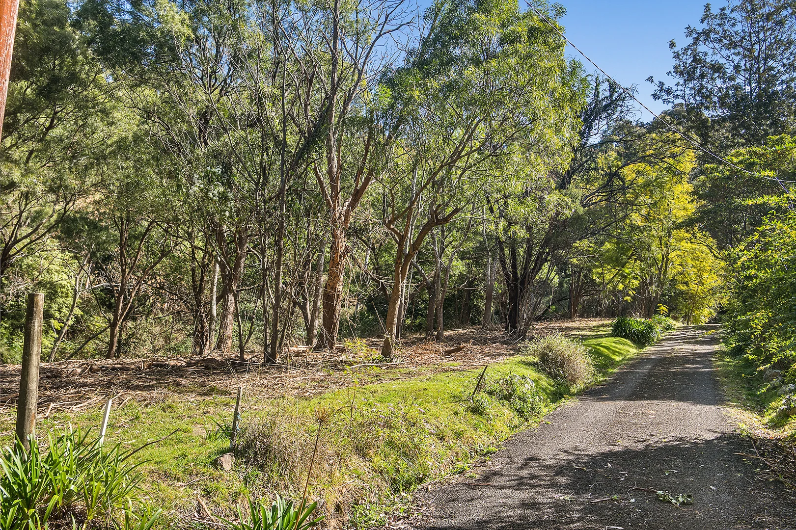 Additional image 12 of Red Cedar Road, Meroo Meadow NSW 2540