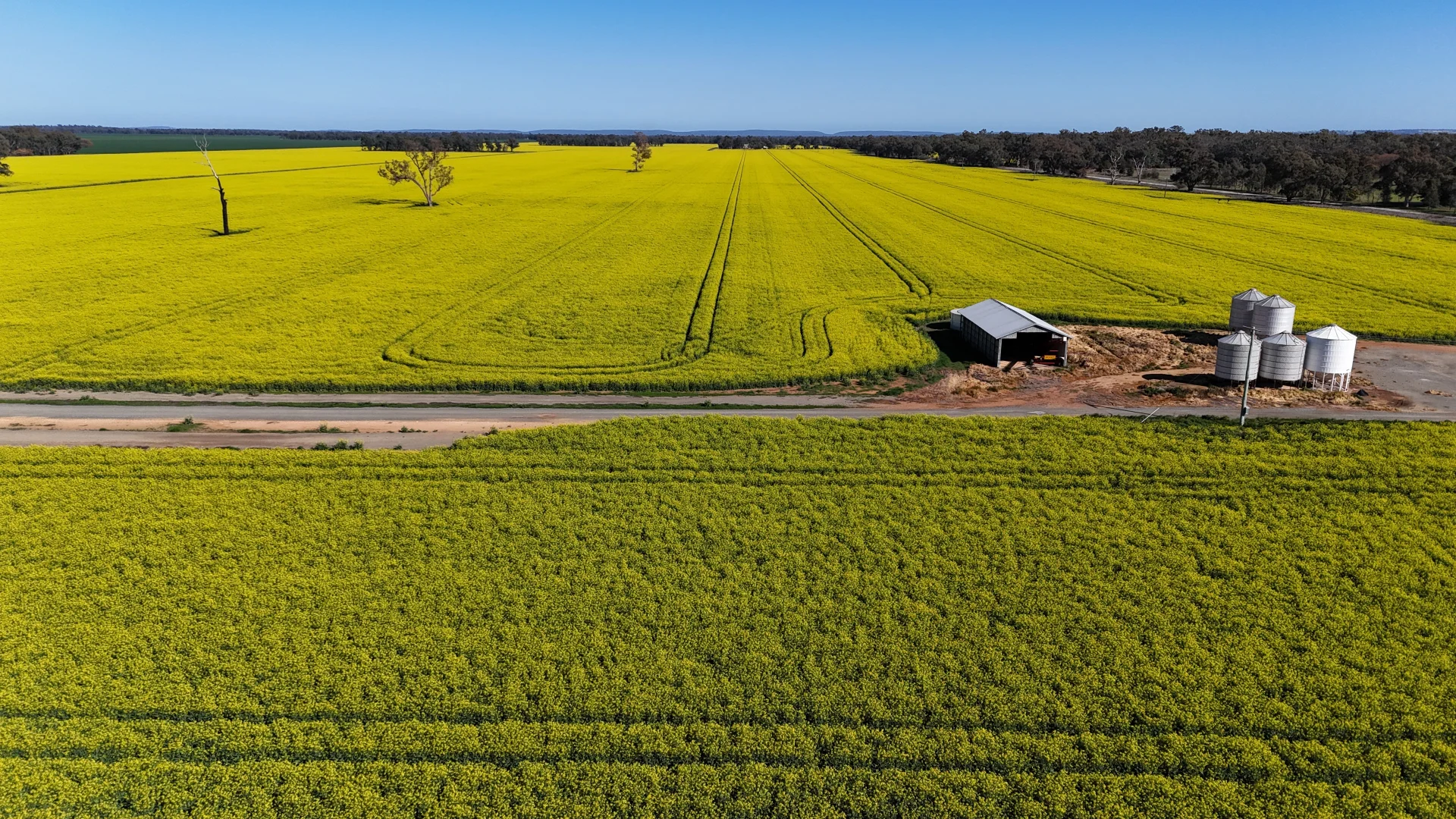 Additional image 14 of 349 A Warregal Road, Parkes NSW 2870