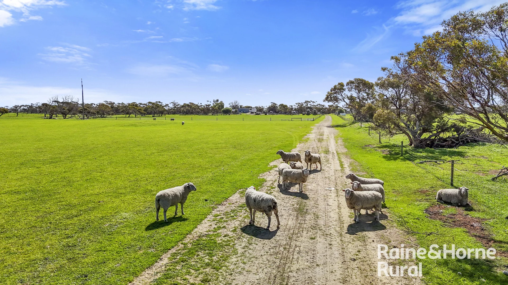 Additional image 27 of 378 Jones Road, Yumali SA 5261