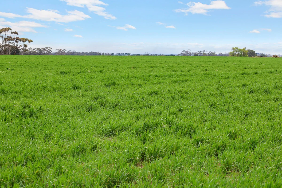 Additional image 26 of 1047 Rokewood-Shelford Road, Shelford VIC 3329