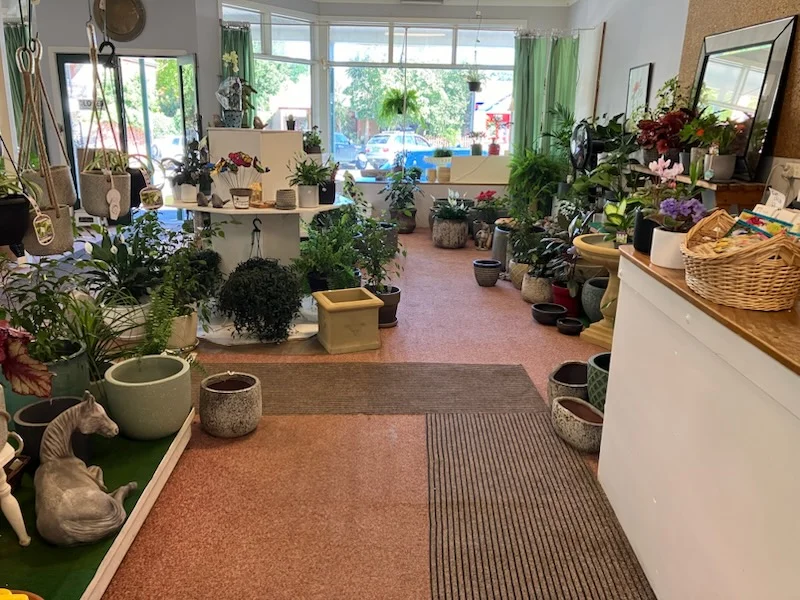 Additional image 7 of 125 Wallace Street, Braidwood NSW 2622