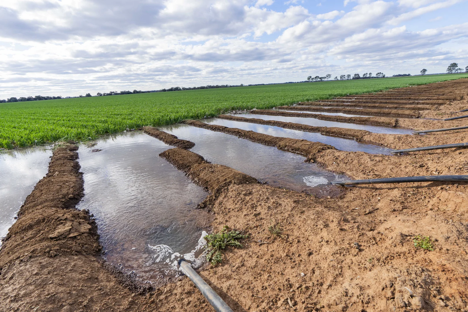 Additional image 6 of Glenn Road, Coleambally NSW 2707