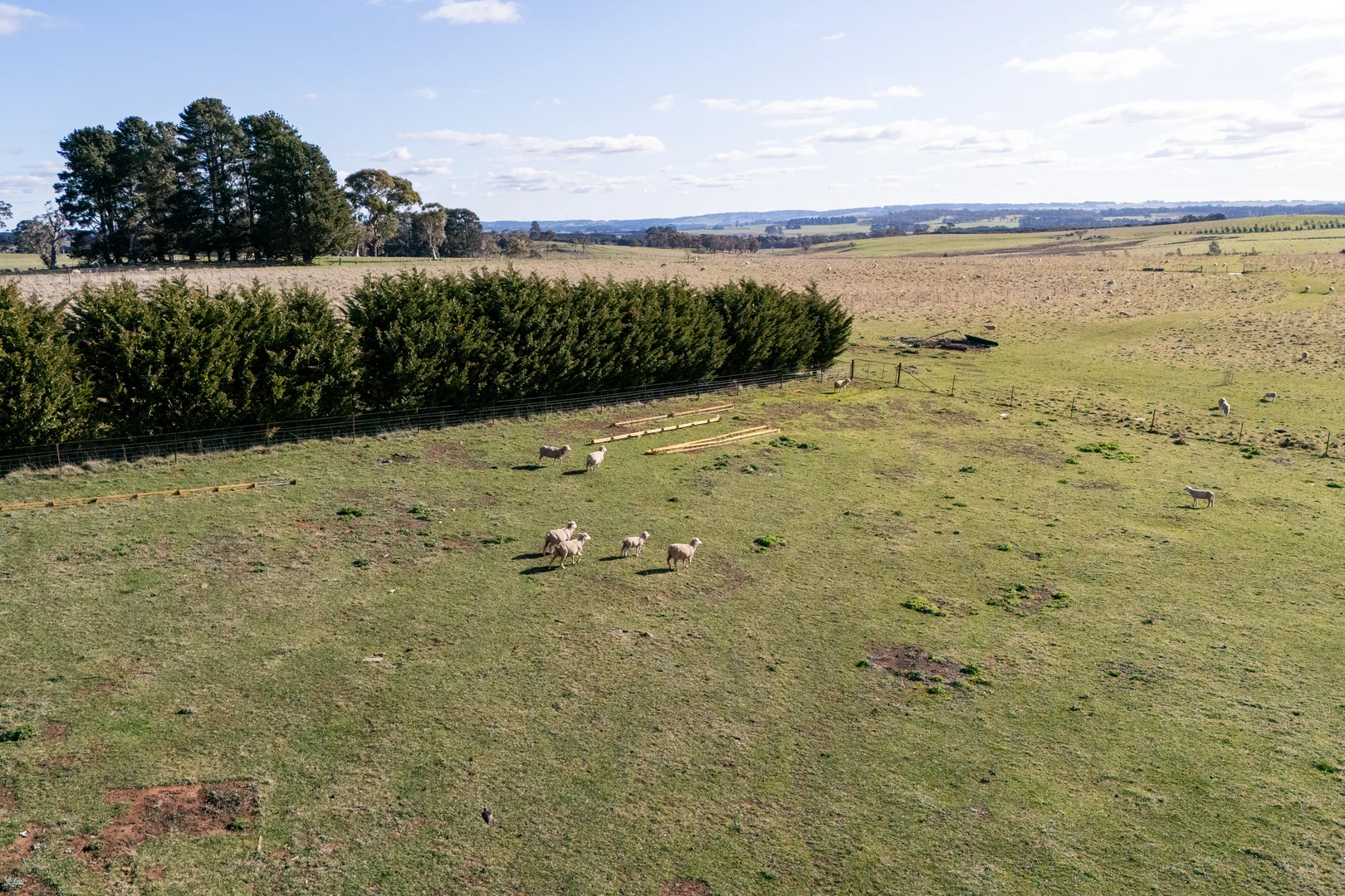 Additional image 8 of 239 McAlister Road, Laggan NSW 2583