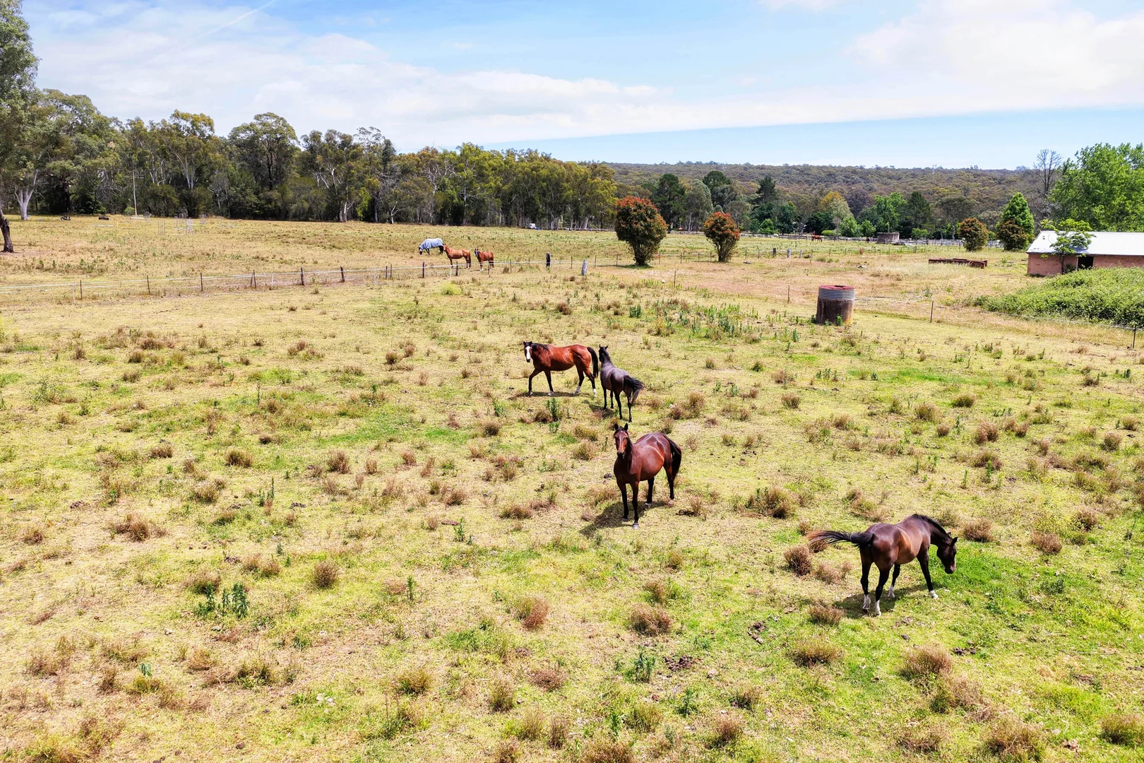 Additional image 15 of 205 Oaks Road, Thirlmere NSW 2572