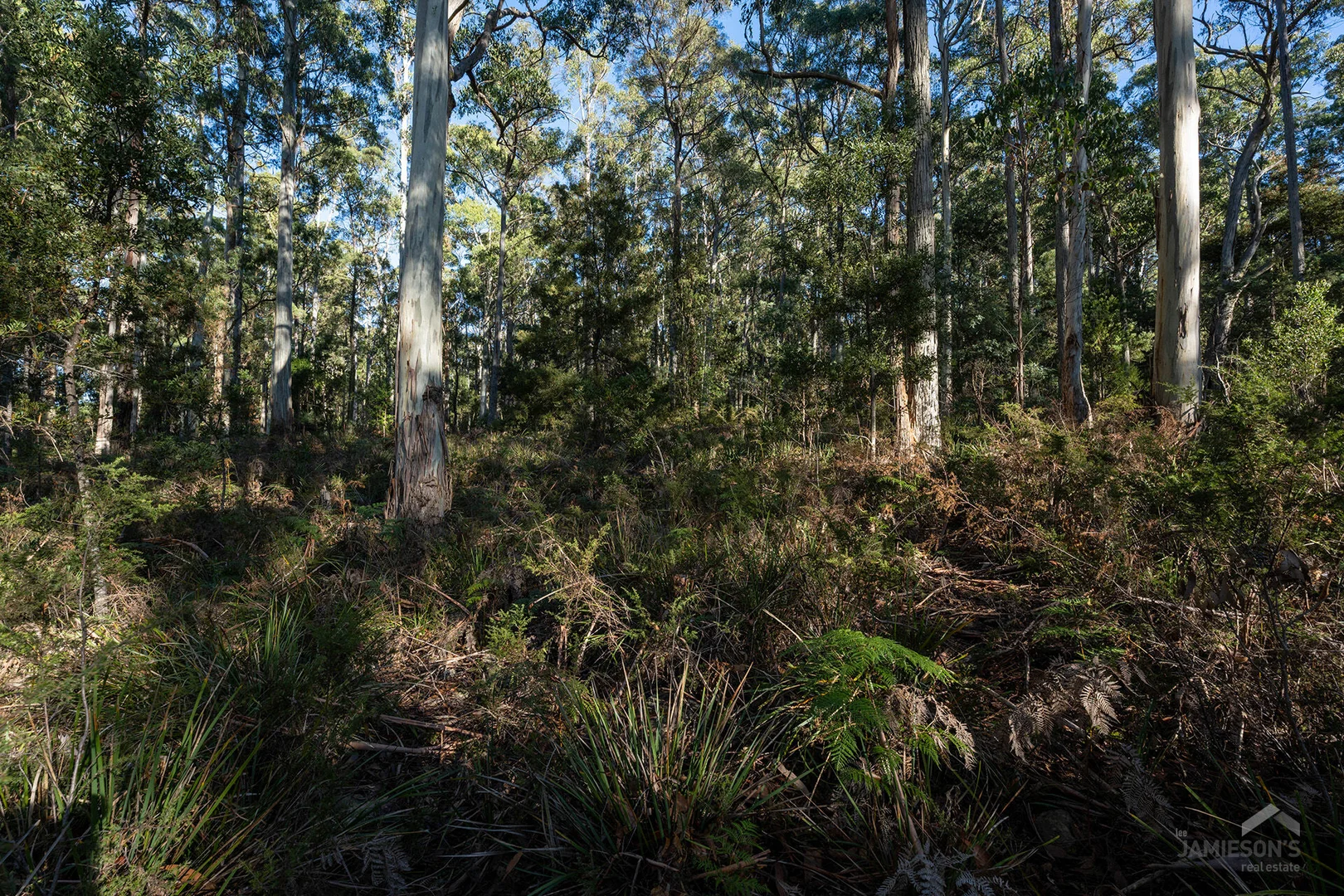 Additional image 18 of Weetah Road, Weetah TAS 7304