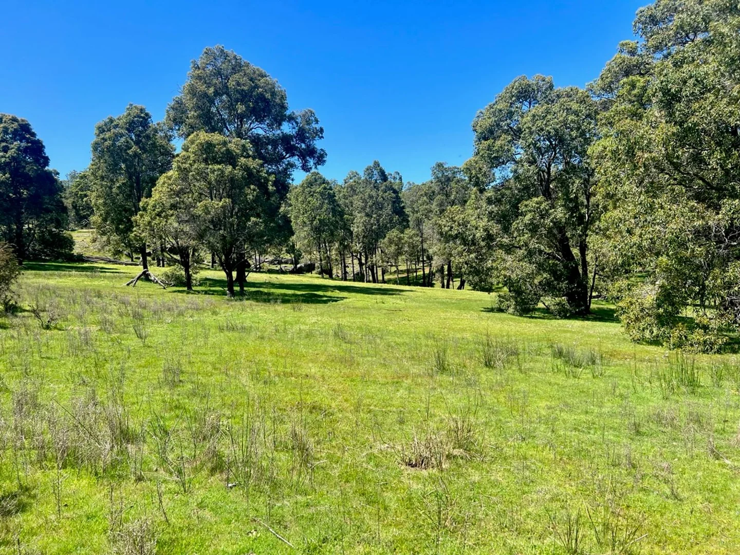 Additional image 12 of 59 Lyons Road, Waroona WA 6215