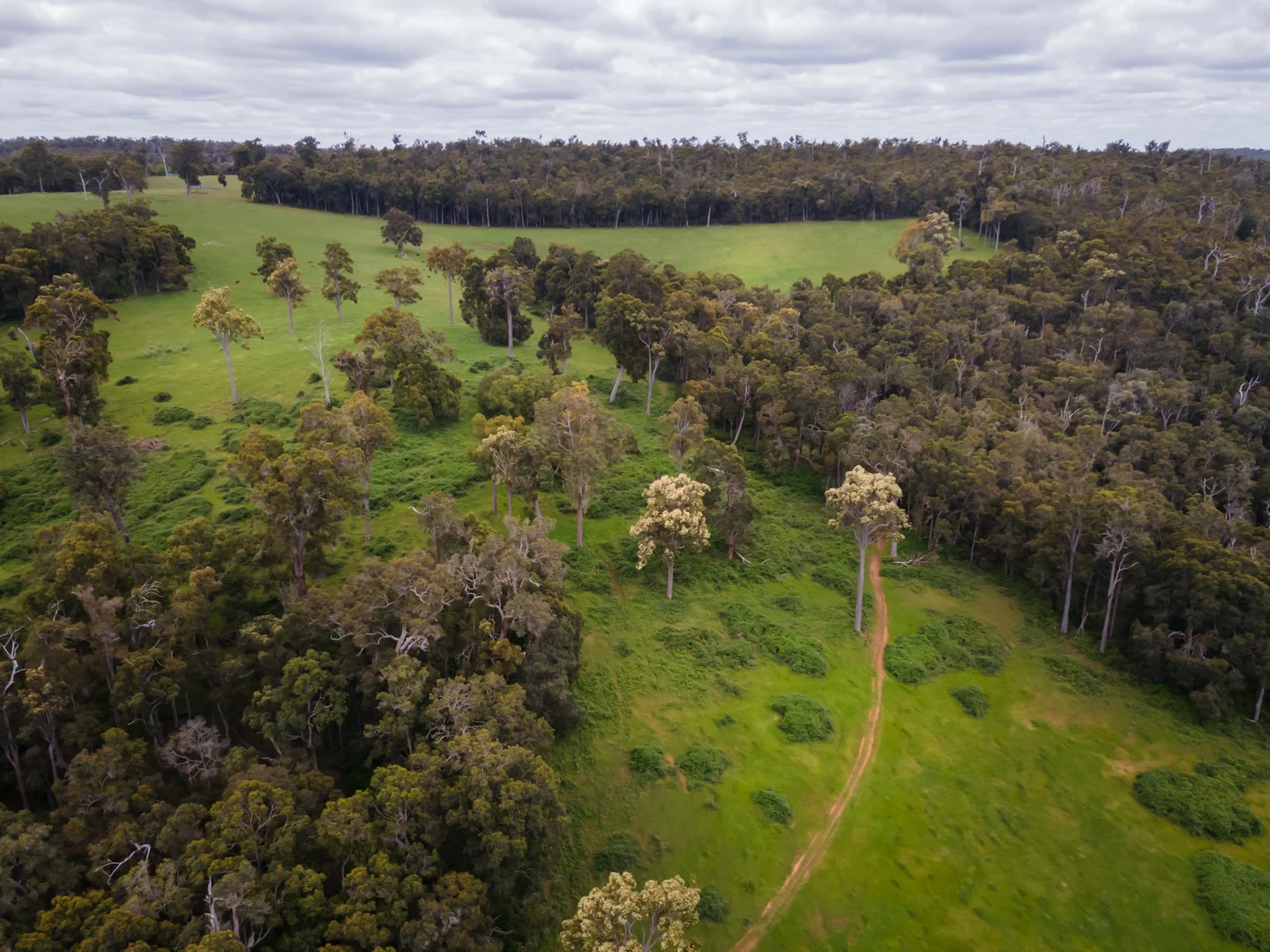 Additional image 15 of Lot 4 Kammann Road (Upper Warren), Manjimup WA 6258