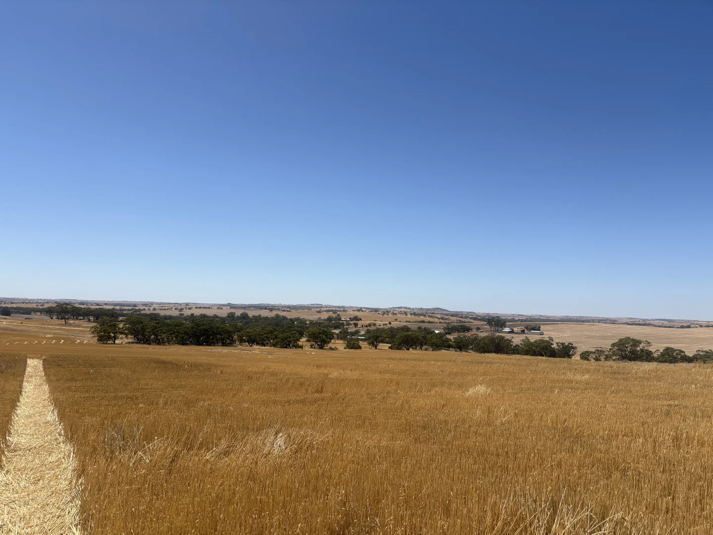 Additional image 2 of LOT/18 Irishtown Road, Buckland WA 6401