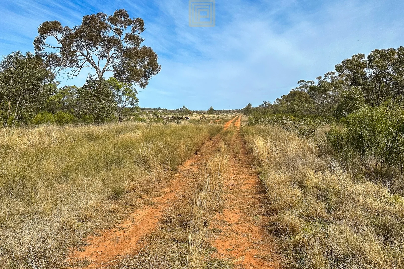 Additional image 5 of KOOREGAH STATION Yarrandale Road, Hermidale NSW 2831