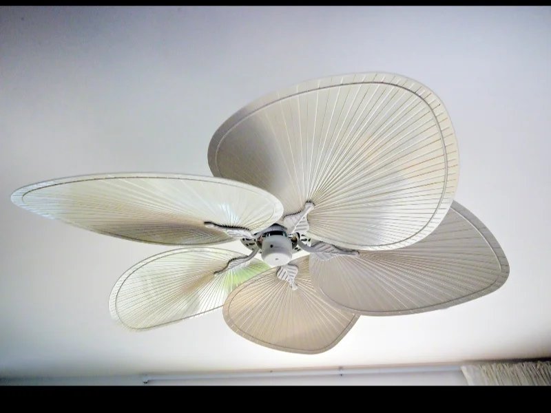 Additional image 25 of 83 Pretoria Parade, Harrington NSW 2427