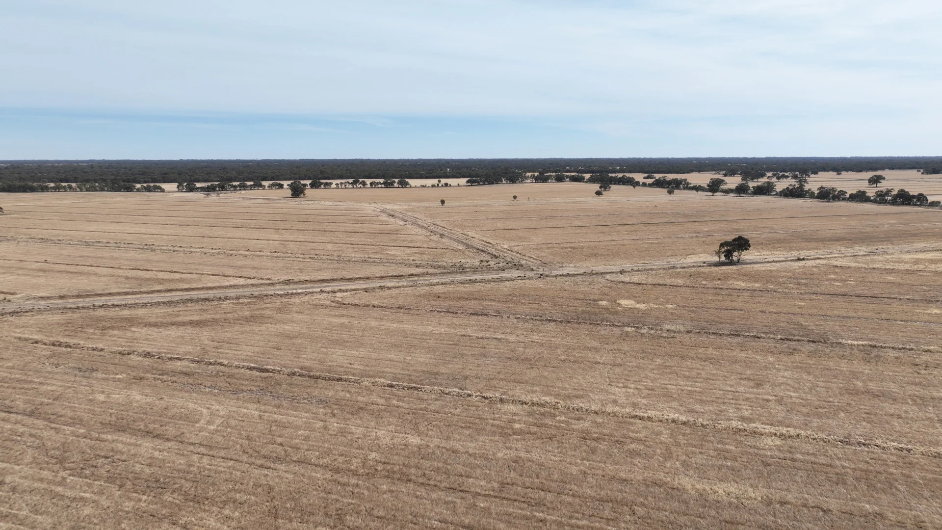 Additional image 28 of Calimo Park Brassi Road, Deniliquin NSW 2710