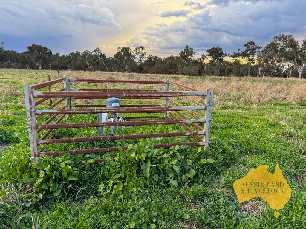 Additional image 50 of 250 Heights Road, Nanango QLD 4615