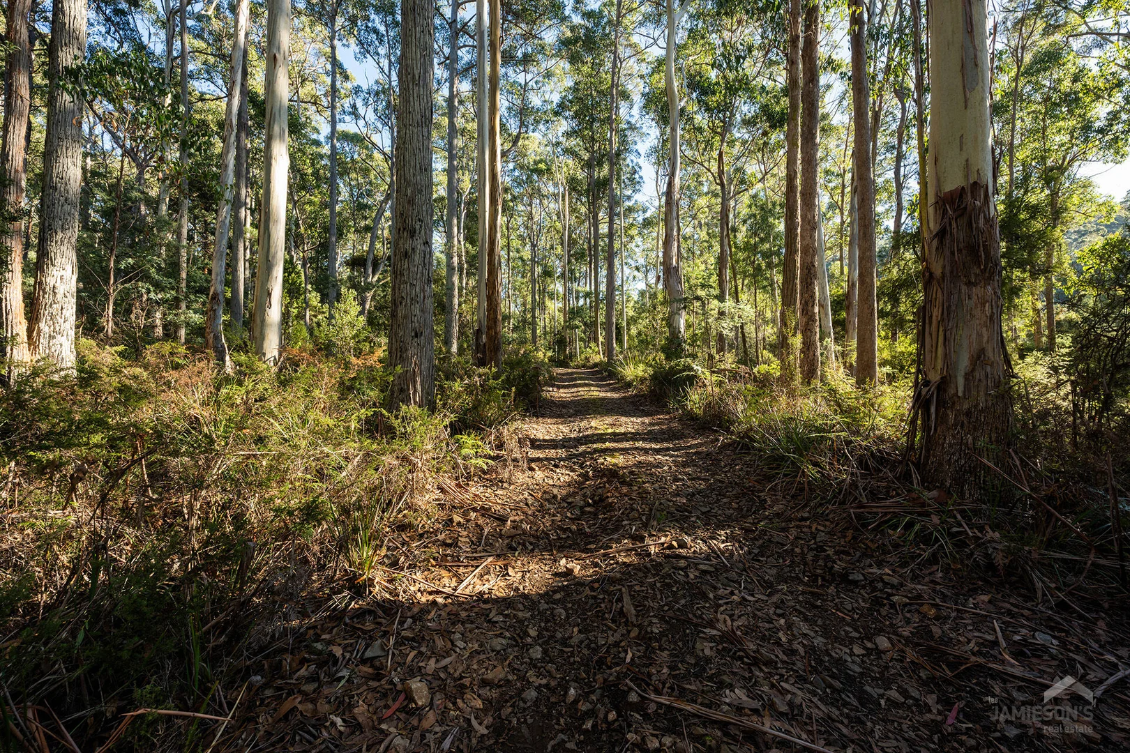 Additional image 3 of Weetah Road, Weetah TAS 7304
