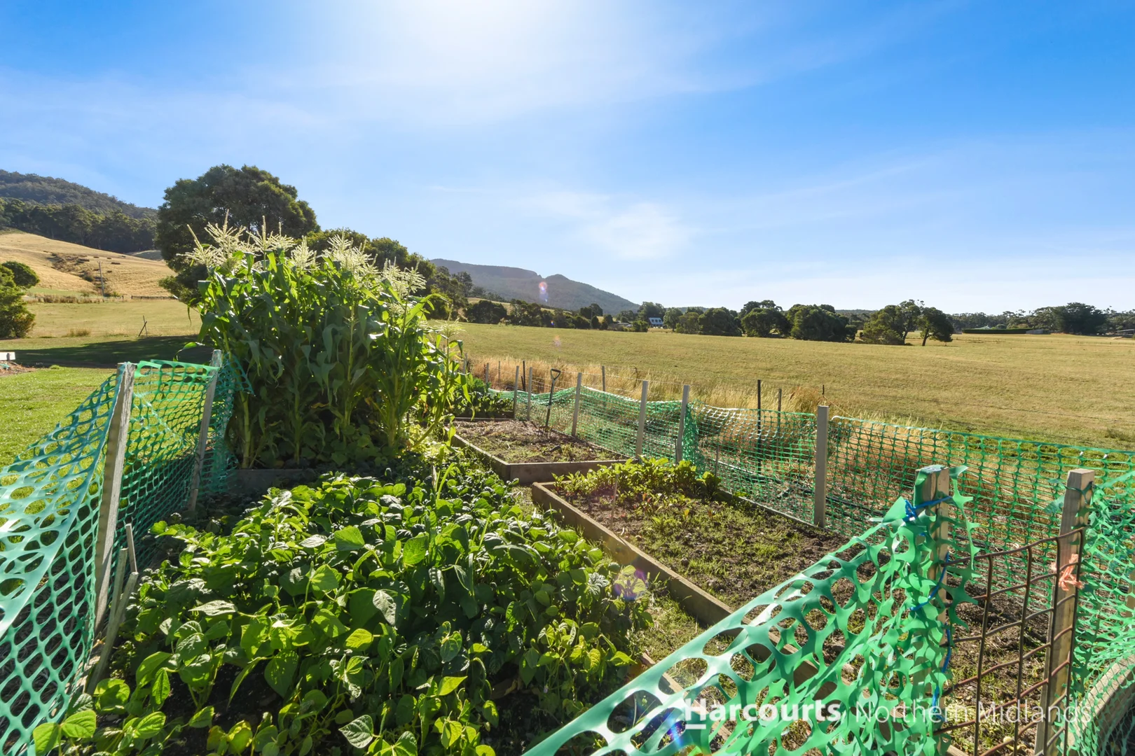 Additional image 33 of 205 Top Road, Blackwood Creek TAS 7301