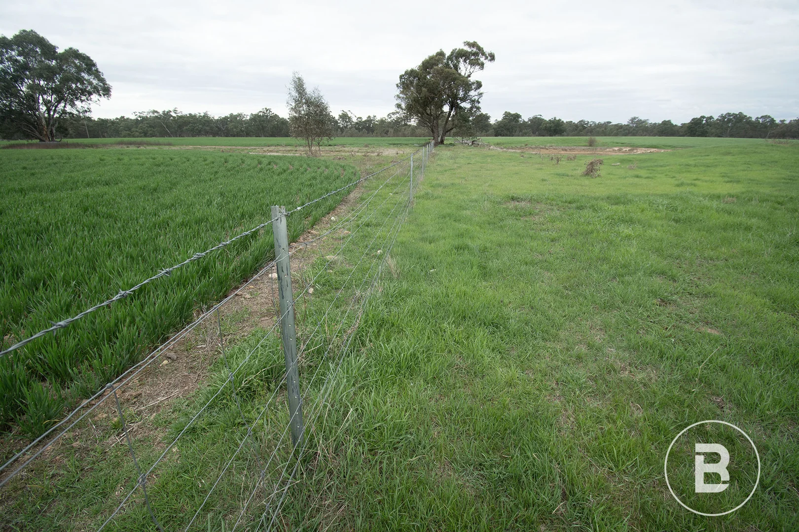 Additional image 14 of 174 Timor Bromley Road, Timor VIC 3465