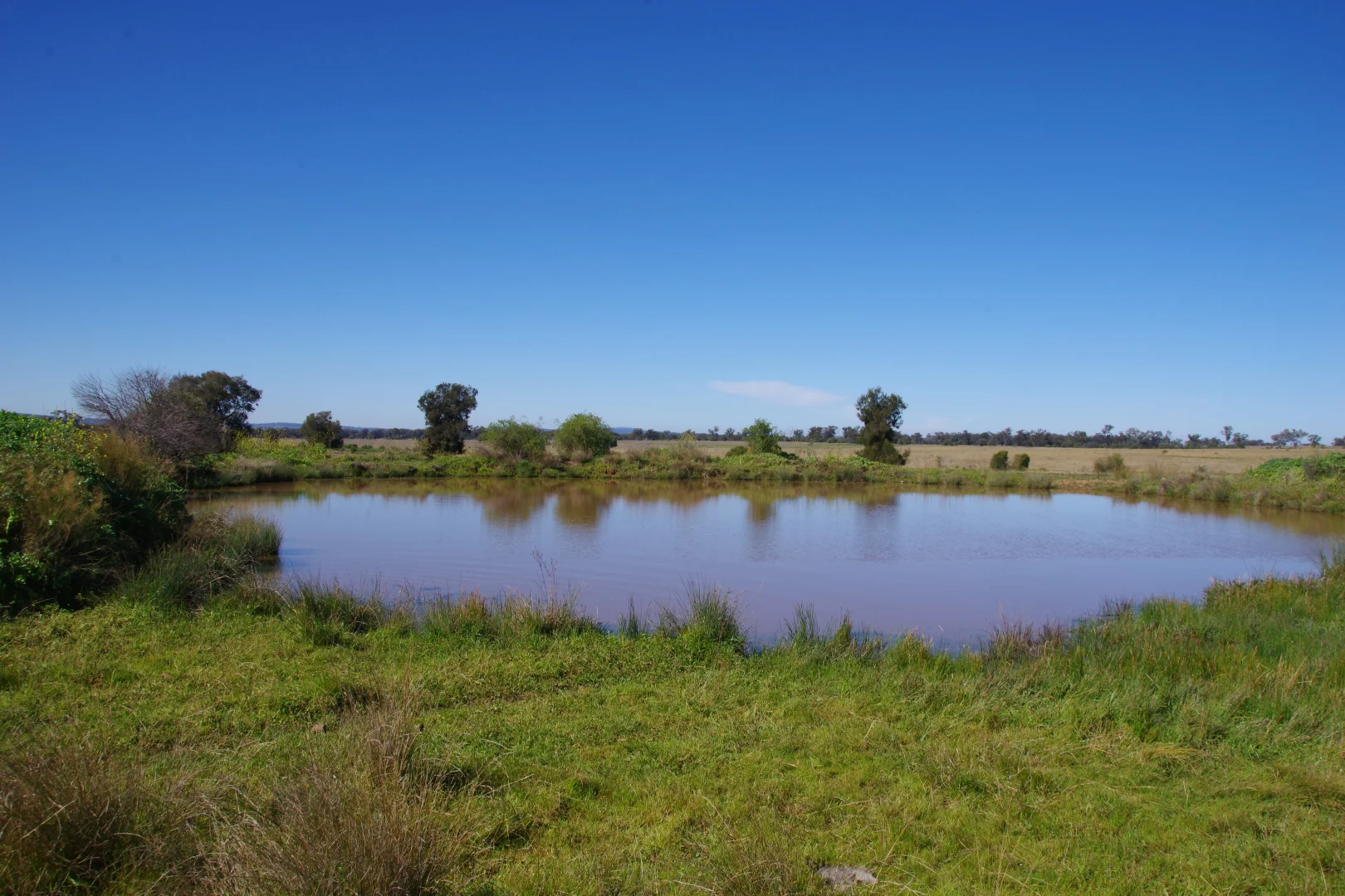 Additional image 22 of 635 Mayfield Road, Narrabri NSW 2390