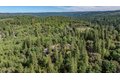 Additional image 66 of 14150 Brandon Rd, Pine Grove, CA, 95665