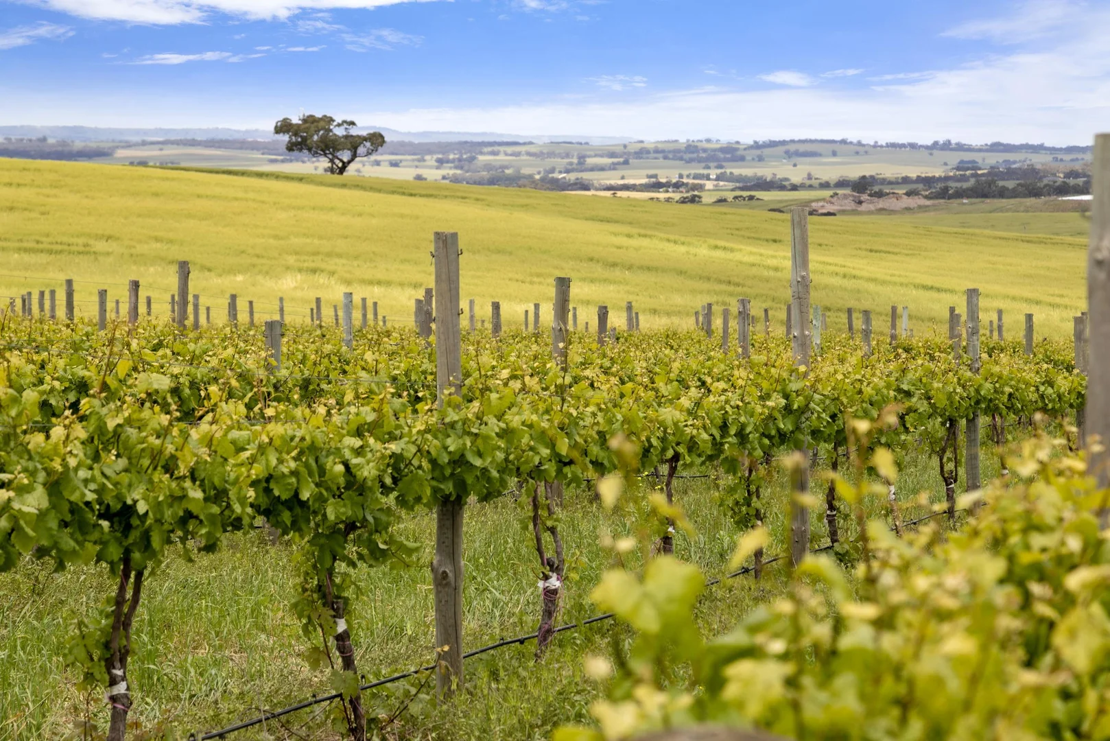 Additional image 7 of Lot 54 Tank Road, Auburn SA 5451