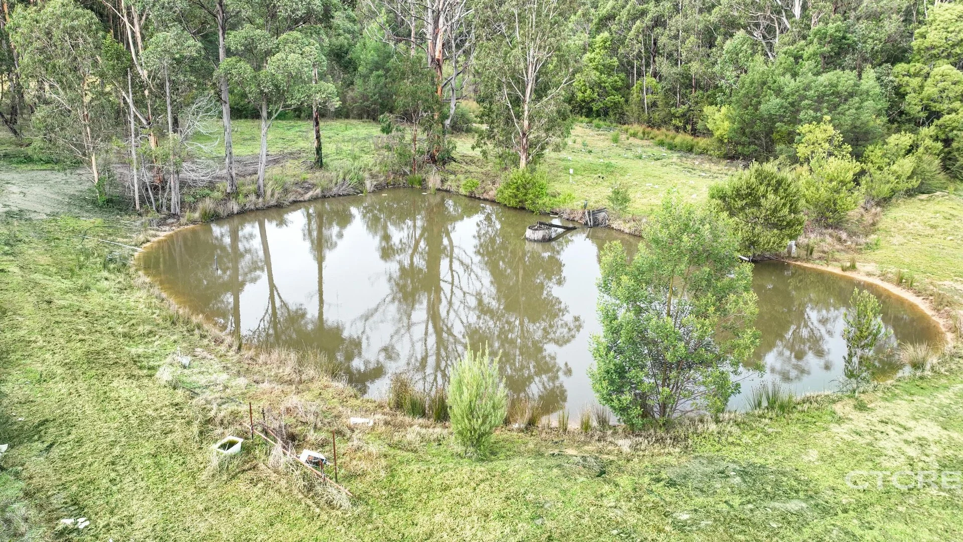 Additional image 4 of 181 Tamboon Road, Cann River VIC 3890