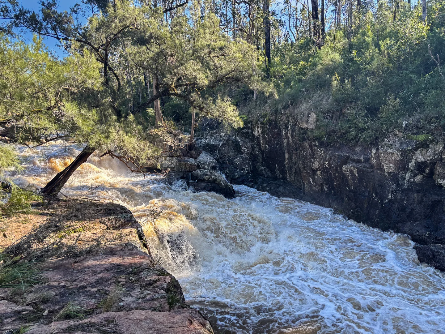 Additional image 2 of Nowendoc NSW 2354