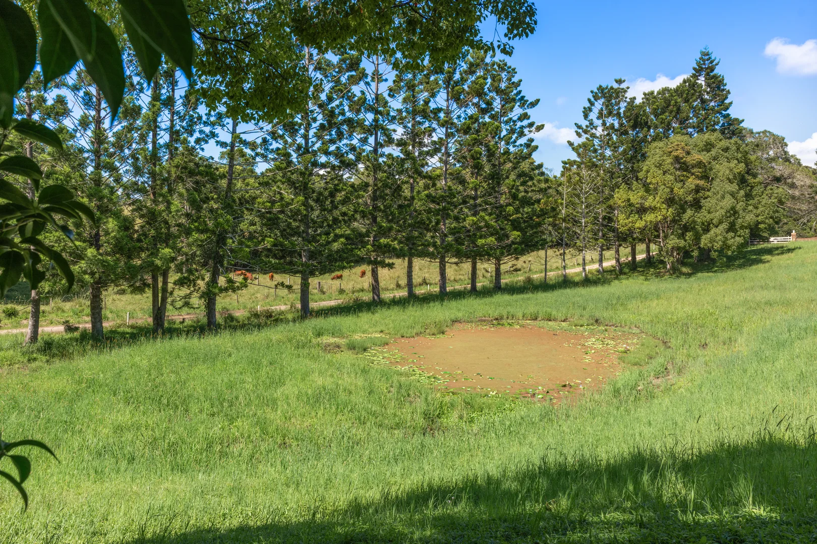 Additional image 38 of 27 Smith Road, Kureelpa QLD 4560