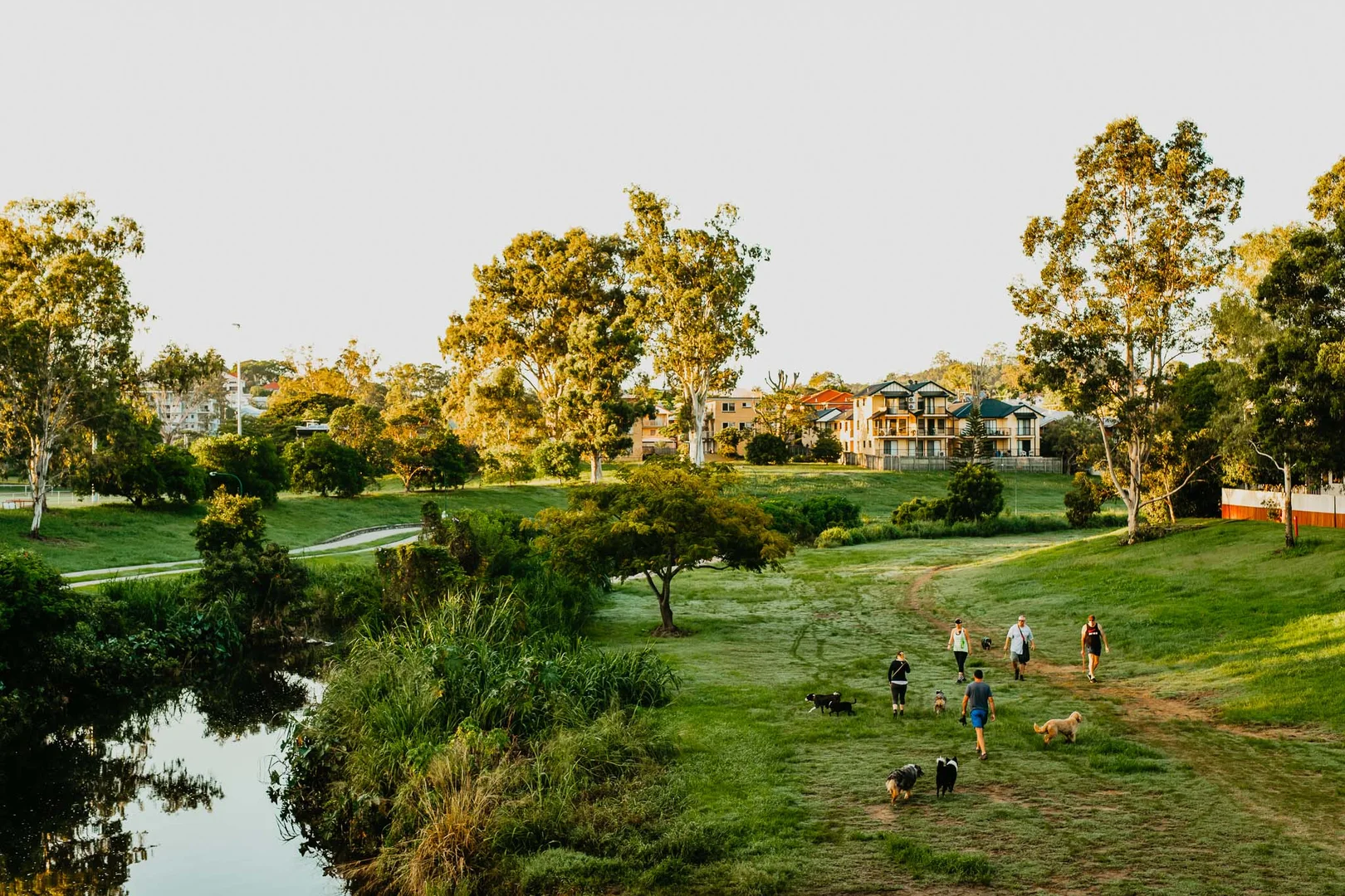 Additional image 9 of 28B/117 Mina Parade, Alderley QLD 4051