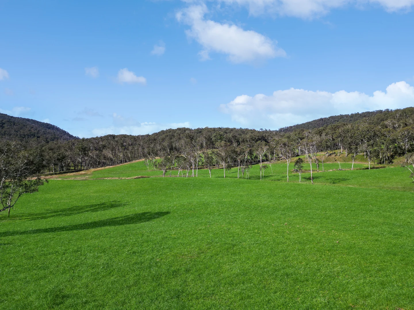 Additional image 6 of Nowendoc NSW 2354