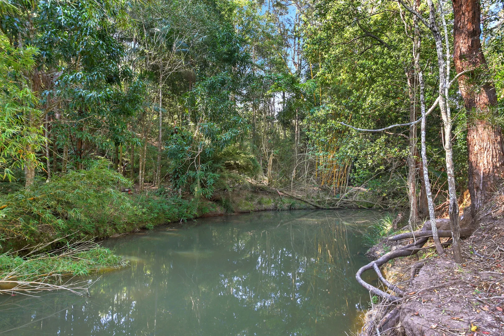 Additional image 29 of 319 Highlands Road, Eudlo QLD 4554