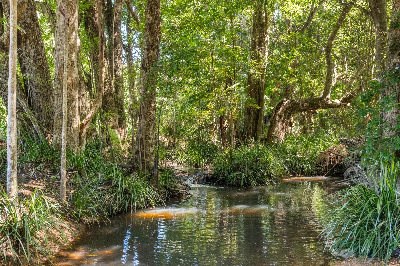 Additional image 18 of 27 Smith Road, Kureelpa QLD 4560