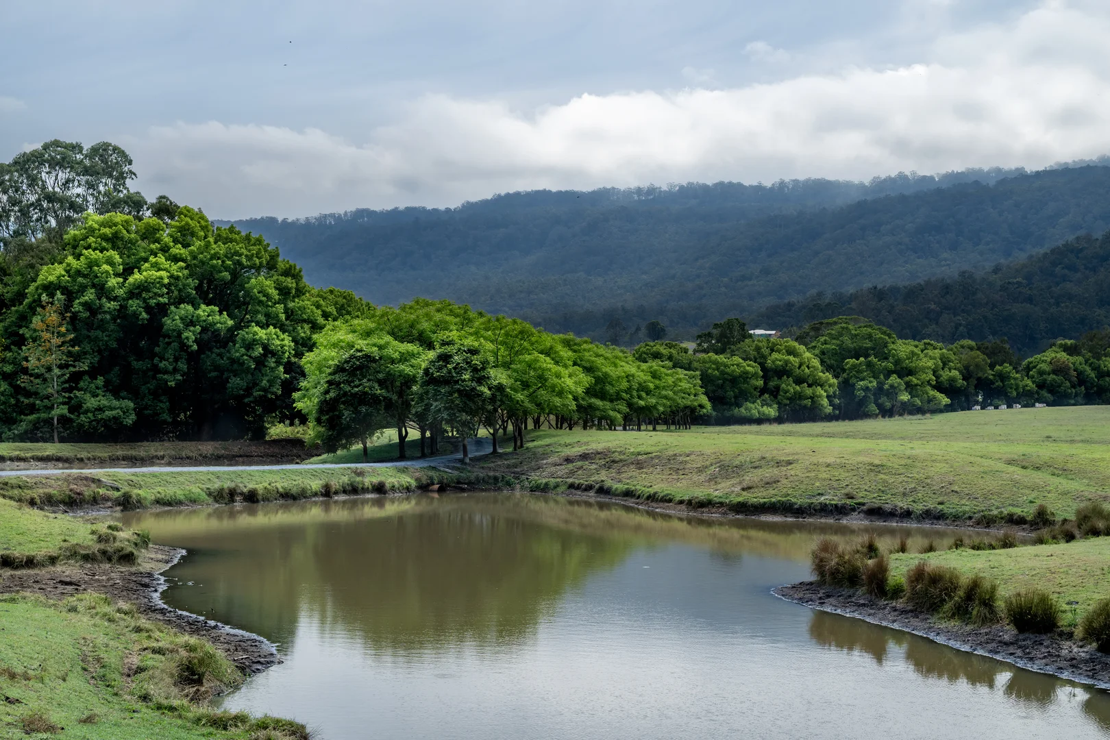 Additional image 2 of 2567 Beaudesert Nerang Road, Benobble QLD 4275