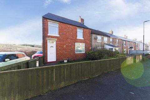 Earsdon Terrace, West Allotment NE27