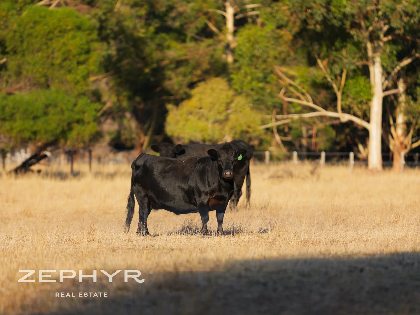 Additional image 53 of 1565 Donnybrook-Boyup Brook Road, Lowden WA 6240
