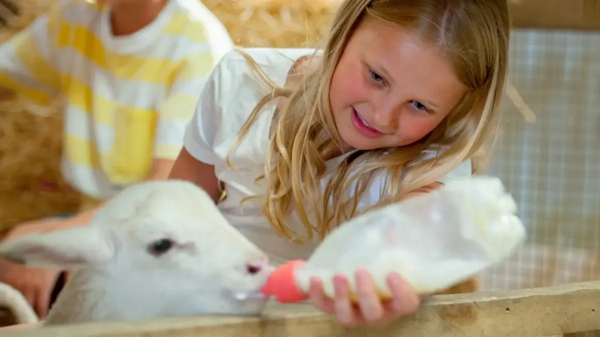 Additional image 4 of 10 Matilda Way, Mount Barker SA 5251