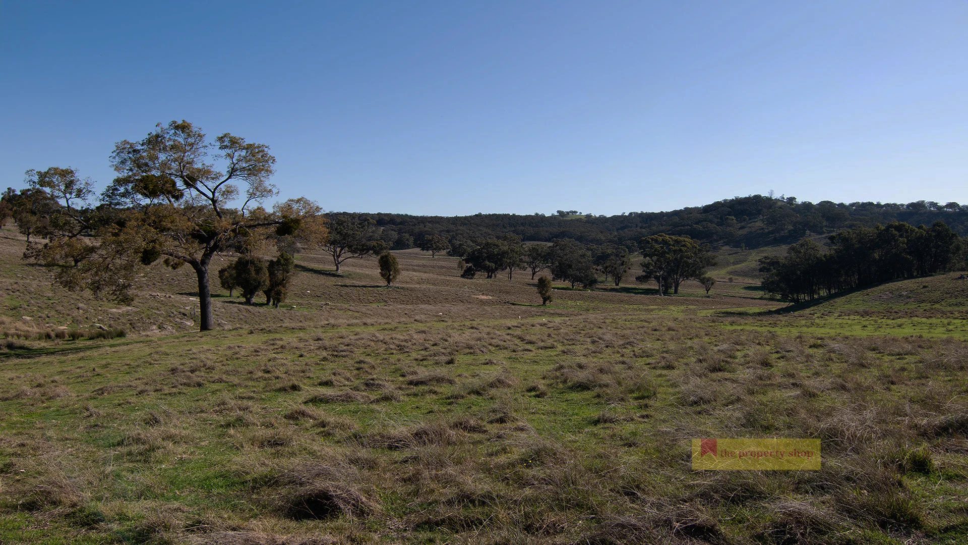 Additional image 4 of 2778 Ulan Road, Mudgee NSW 2850