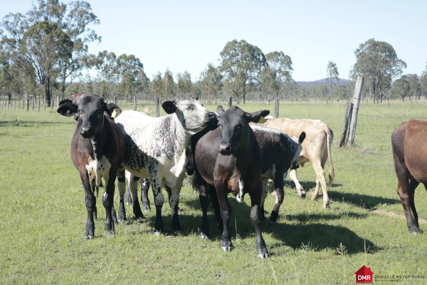 Additional image 3 of 25731 Burnett Highway, Cynthia QLD 4627