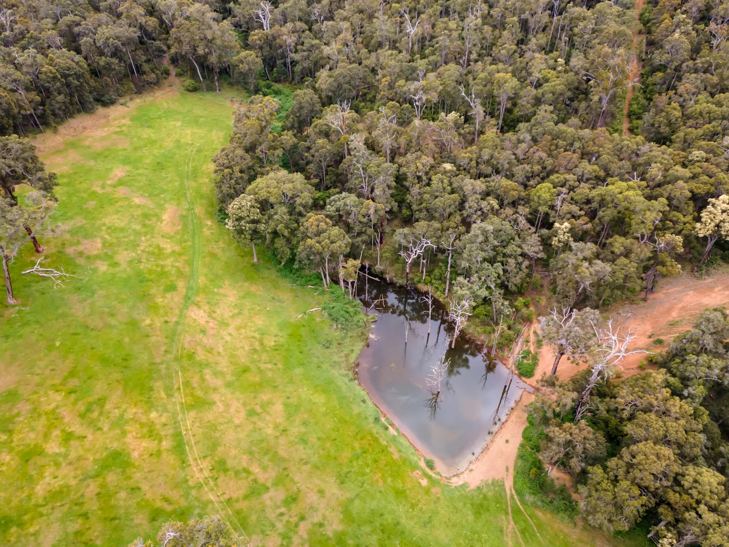 Additional image 20 of Lot 4 Kammann Road (Upper Warren), Manjimup WA 6258