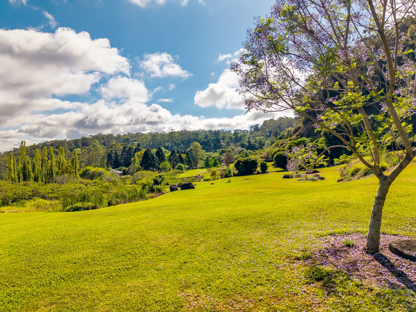 Additional image 20 of 195-275 Kaiser Road, Tamborine Mountain QLD 4272