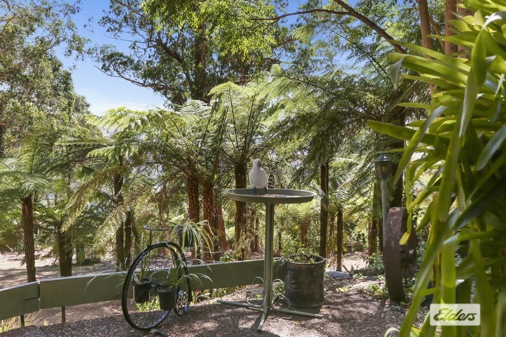 Additional image 19 of 948 Jamberoo Mountain Road, Jamberoo NSW 2533