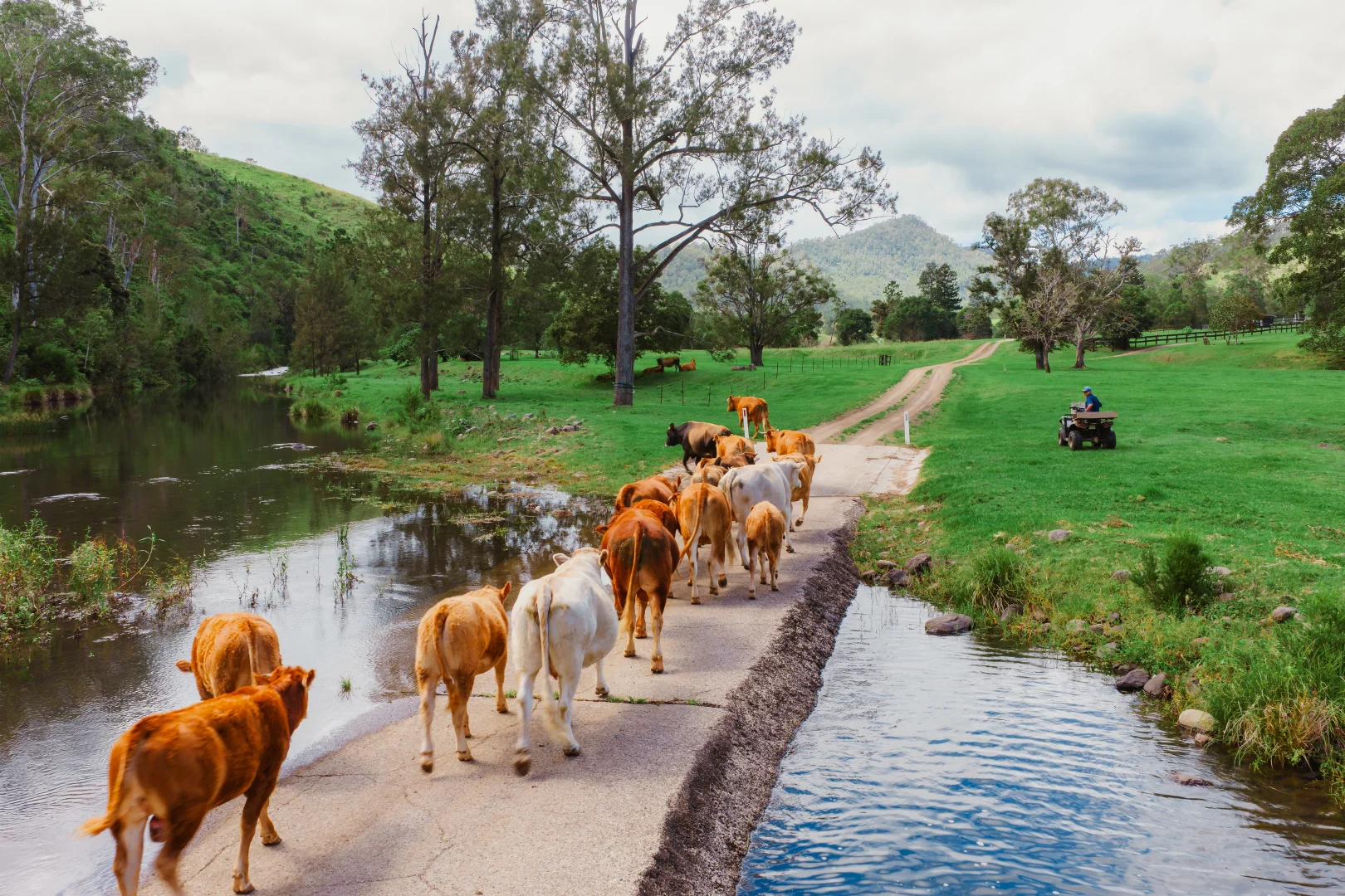 Additional image 2 of 466 Sarabah Road, Sarabah QLD 4275