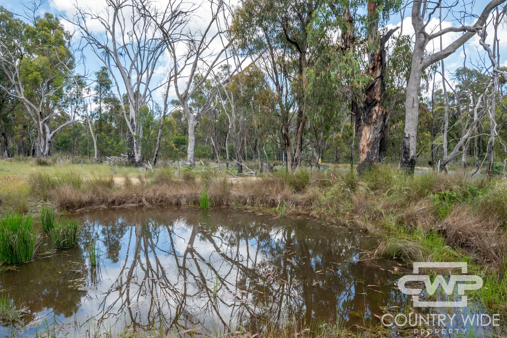Additional image 7 of 28 Cemetery Rd, Torrington NSW 2371
