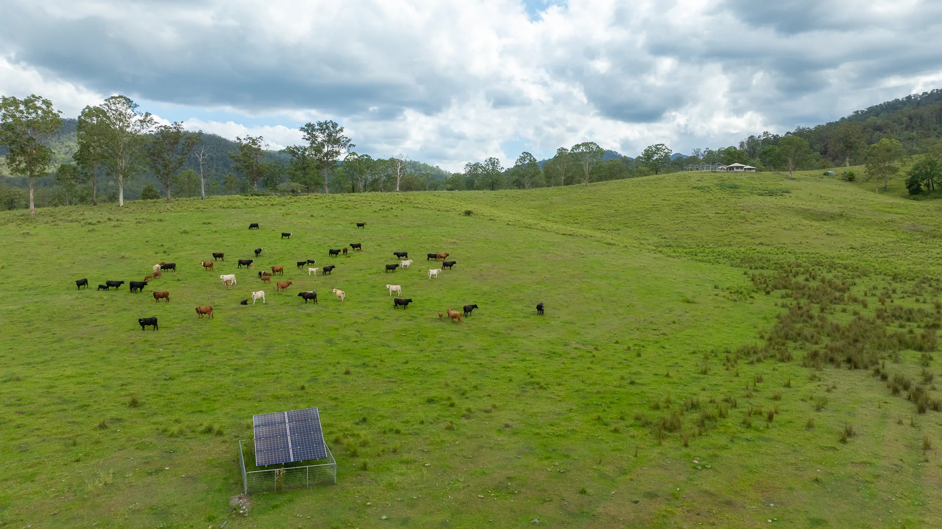 Additional image 28 of 2956 Carnham Road, Coombadjha NSW 2460